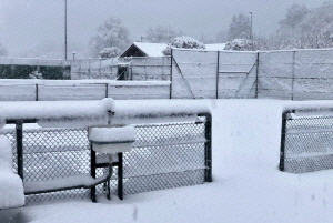 Winter_E7294w Winter_E7294w